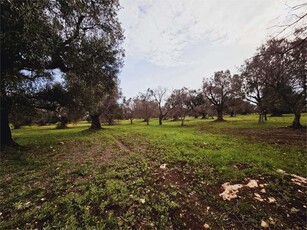 Terreno Edificabile a Carovigno