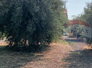 Terreno edificabile in vendita a Motta Sant'Anastasia