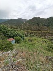 Terreno/frutteto Sestri Levante