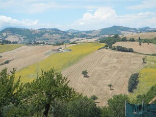 Vendita Azienda agricola, ARCEVIA