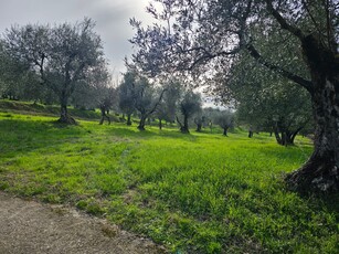 Vendita Terreno Agricolo in PONTASSIEVE