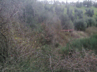 Vendita Terreno Agricolo Montespertoli