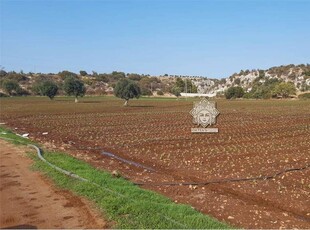 Vendita Terreno Agricolo Noto