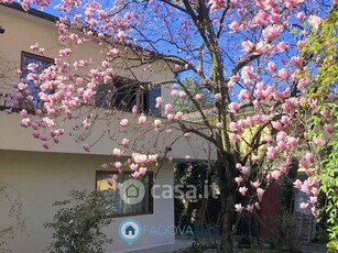 Villa in Vendita in a Padova