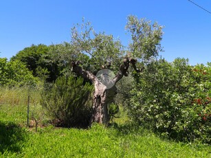 Villa singola in vendita