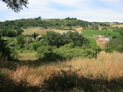 Terreno in vendita a Monsampolo del Tronto