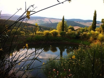 Casale Di Charme Tra Valli E Magiche Colline Senesi