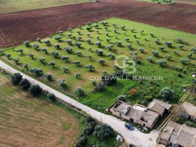 Terreno in vendita a Vittoria