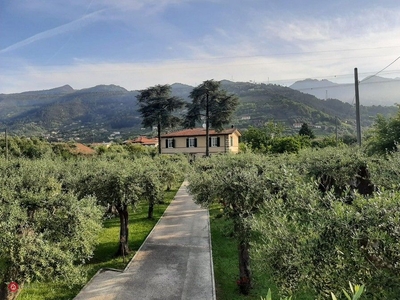 Villa in Affitto in a Seravezza