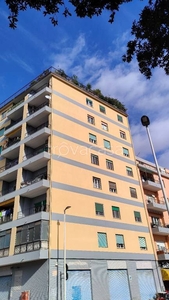 Appartamento in in vendita da privato a Cagliari via Santa Gilla, 121