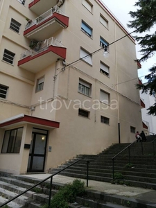 Appartamento in in vendita da privato a Caltanissetta via Corsica, 18