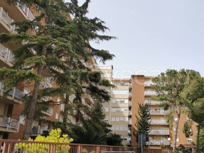 Appartamento in in vendita da privato a Palermo via Tommaso Marcellini