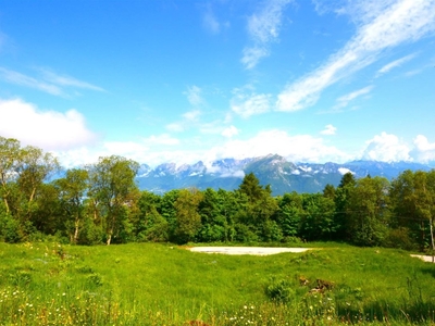 Appartamento in vendita a Belluno