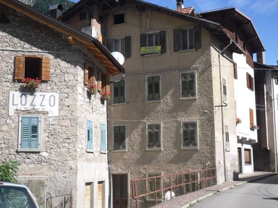 Casa Indipendente in in vendita da privato a Lozzo di Cadore via Roma