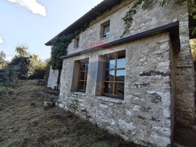 Casa Indipendente in vendita a Borgo Valbelluna località Boschi