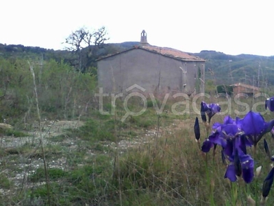 Casale in in vendita da privato a San Venanzo ss317