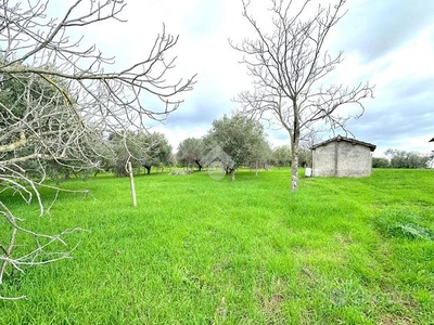 RUSTICO A GENZANO DI ROMA