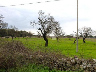 TER. AGRICOLO A CAROVIGNO