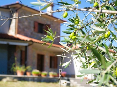 Villa in vendita a Ficulle strada Fontane