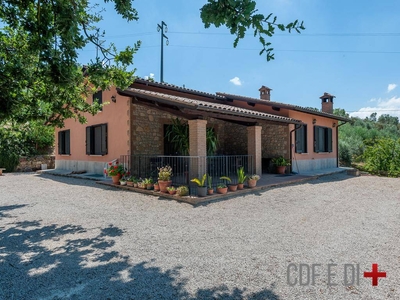 Villa in vendita a Montecchio sp92