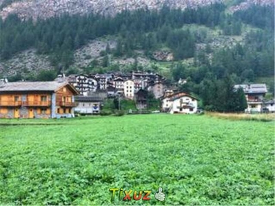 Terreno Nel Parco Nazionale Del Gran Paradiso