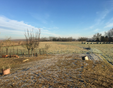 terreno residenziale in vendita a Suzzara