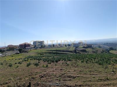 Agricolo - Area verde a Catania