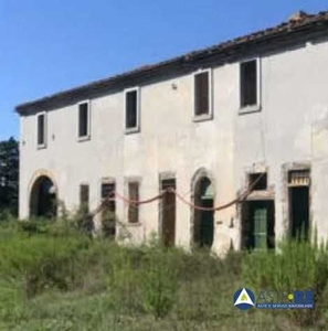 Azienda agricola in Vendita a Fauglia Via Poggio alla Farnia