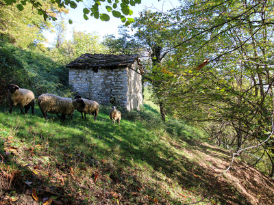 Rustico di 60 mq in vendita - Cerano d'Intelvi