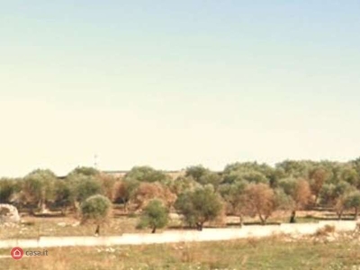 Terreno agricolo in Vendita in Piazza Aldo Moro 27 a Cellamare