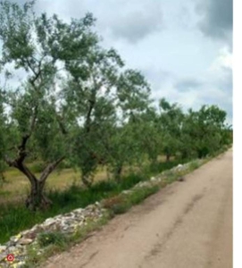 Terreno edificabile in Vendita in Strada Esterna Naccareno a Corato