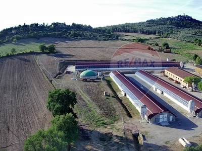 Vendita Azienda Agricola
