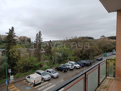 Appartamento in in vendita da privato a Siena via Carlo Pisacane, 40