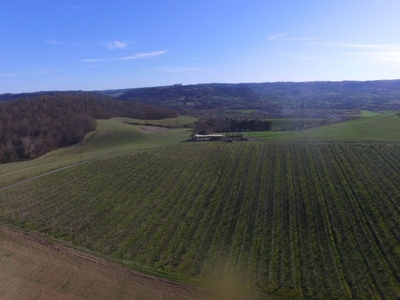 Azienda agricola in vendita 4 Stanze da letto a Orvieto