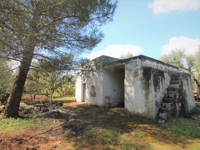 Lamia in vendita a Ostuni