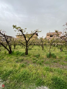 Terreno agricolo in Affitto in Via Arco Sant'Antonio a Giugliano in Campania