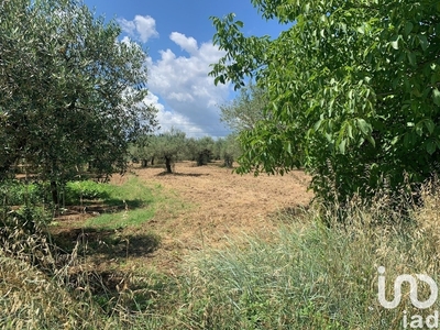 Terreno agricolo in vendita a Loreto Aprutino