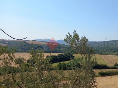 terreno agricolo in vendita a Montecatini Val di Cecina