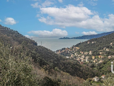 Esclusiva villa di 190 mq in vendita Via G. Solari e P. Queirolo, 64, Zoagli, Liguria