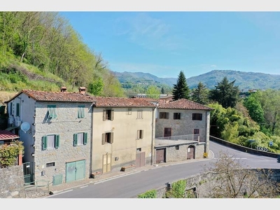 Rustico in vendita a Pieve Fosciana, Pieve Fosciana, LU