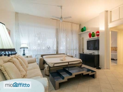 Appartamento arredato con terrazzo Lido di camaiore