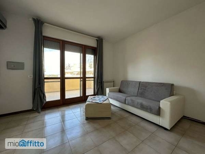 Appartamento arredato con terrazzo Pisa