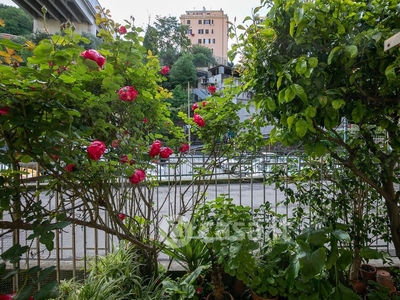 Appartamento in Vendita in Via Giovanni Daneo 18 a Genova