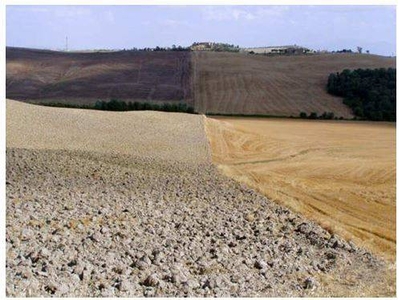 Grande Azienda Agricola in Vendita ad Asciano: Restaurazione e Vita Rurale nelle Crete Senesi, Toscana