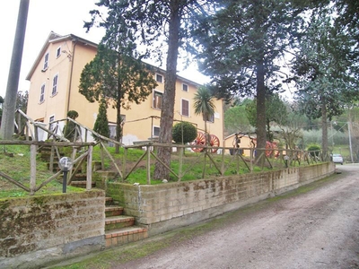 Azienda Agricola e Frantoio 