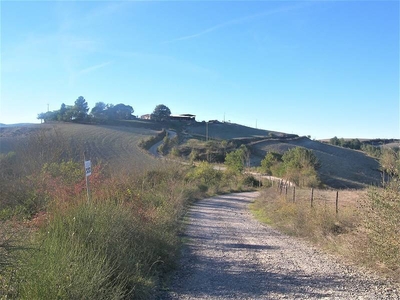 Azienda Agricola 