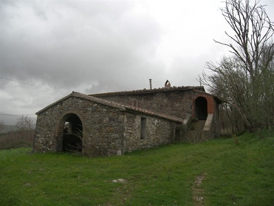 In Vendita: Azienda Agricola con Casolare da Ristrutturare a Radicofani, Toscana