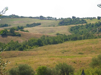 In Vendita: Esclusiva Azienda Agricola a Torrita di Siena, Toscana