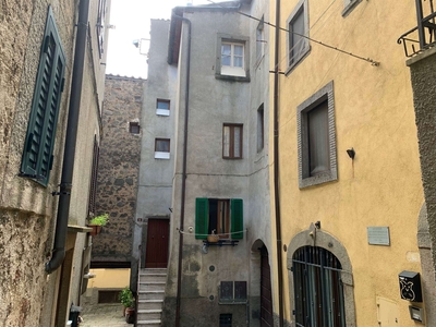 Terratetto in vendita a Castel Del Piano Grosseto Monte Amiata Versante Grossetano