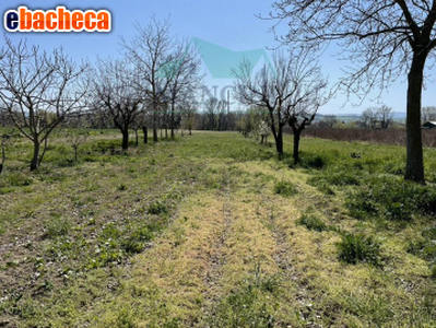 Terreno Agricolo a Jesi..